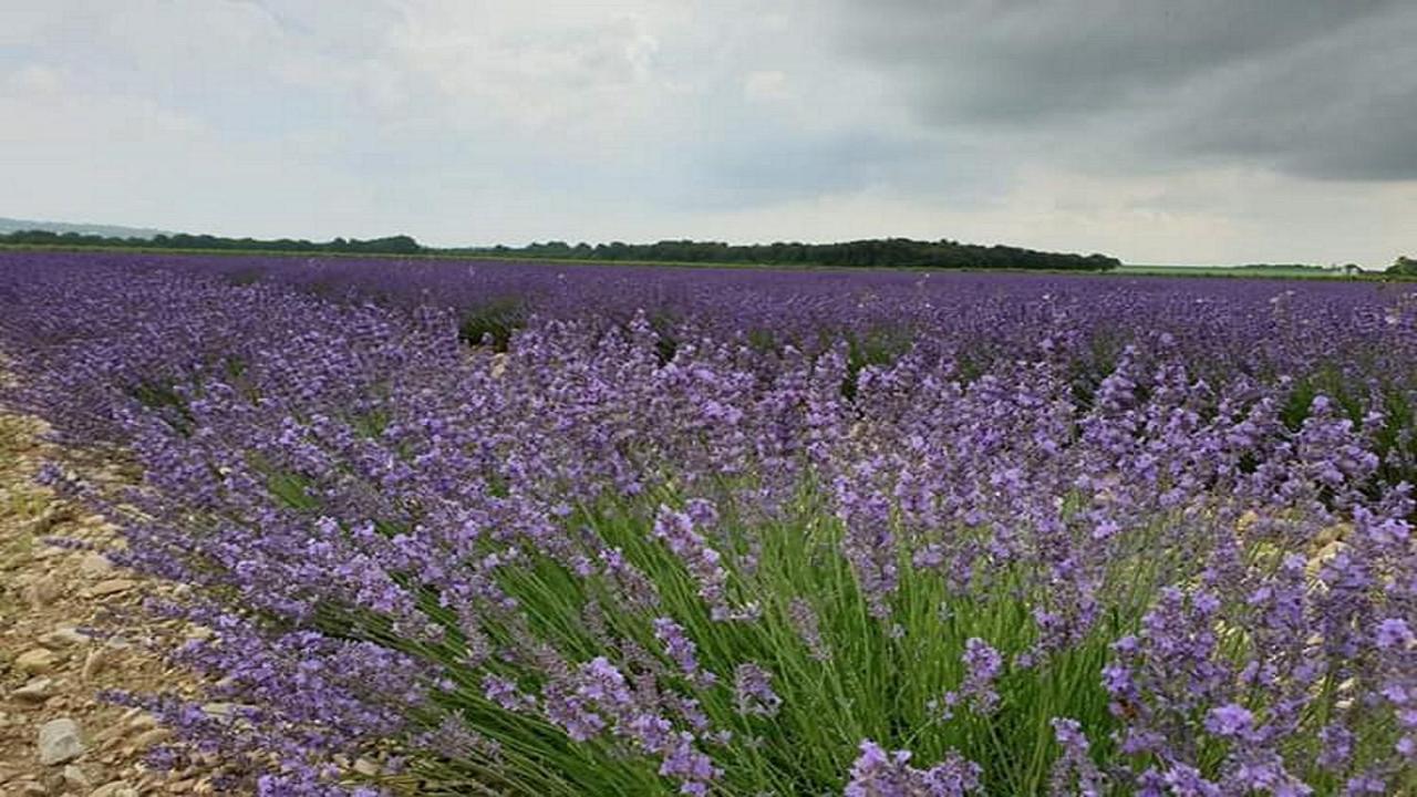Gite La Joliette Et Le Chesnaie Grillon ภายนอก รูปภาพ